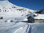 Salita scialpinistica ai Campelli di Schilpario e al Monte Campioncino il 12 marzo 09  - FOTOGALLERY